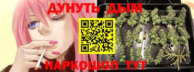сатива Конаково